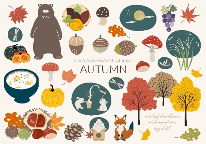 税理士法人栁澤会計 岡谷市 諏訪市 茅野市 下諏訪町 富士見町 原村 相続 事業承継もお任せ